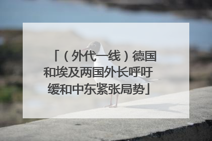 （外代一线）德国和埃及两国外长呼吁缓和中东紧张局势